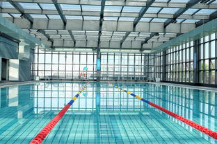 MK手机客户端-世界游泳锦标赛中国运动员连续夺牌，世界游泳锦标赛中国运动员连续夺牌几次